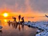 The freezing cold did not stop Björgvinsdóttir and her friends from dipping into the ice cold sea.