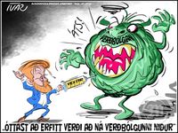 óttast að erfitt verði að ná Verðbólgunni niður