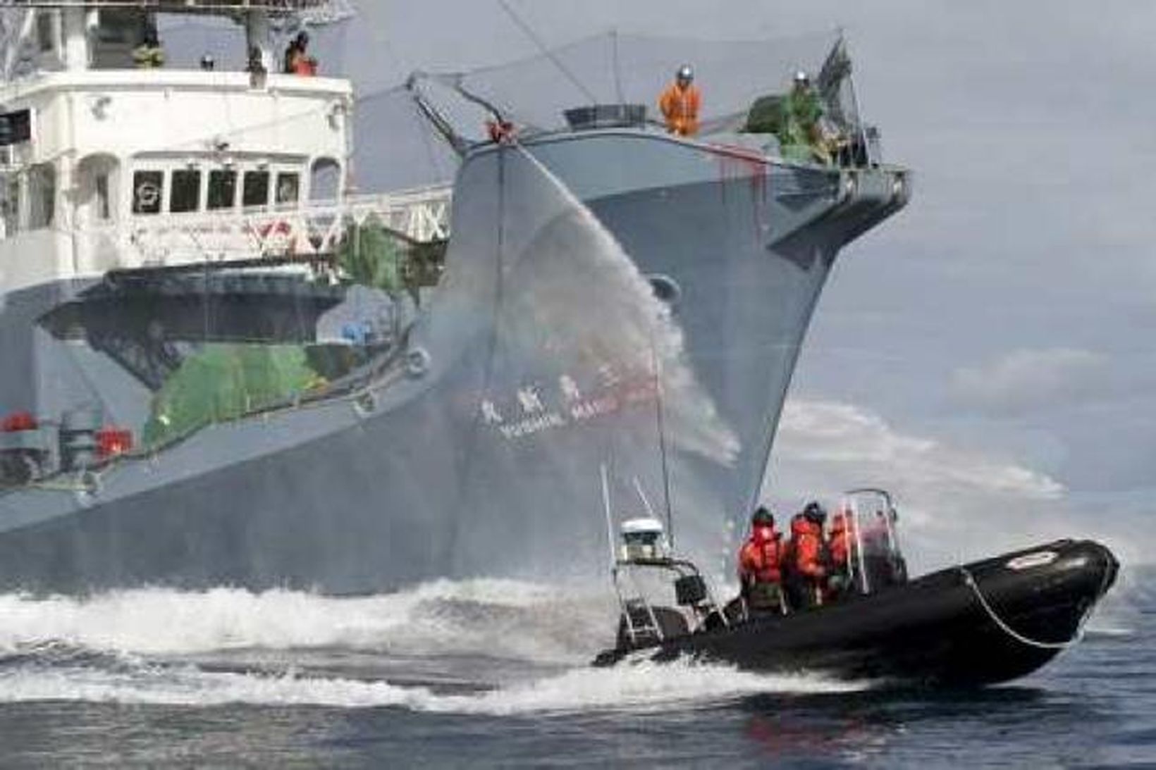 Liðsmenn Sea Shepherd sigla nálægt japönskum hvalveiðibáti.