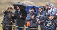 Erlendir ferðamenn við Gullfoss