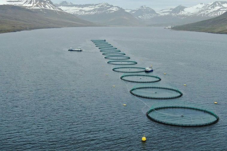 Authorities have yet to respond to ESA