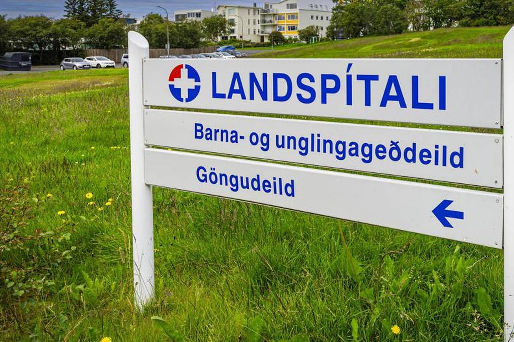Brúarskóli við Dalbraut hefur séð um kennslu á BUGL síðastliðin …