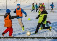 Gervigrasvöllur Fram í Úlfarsárdal