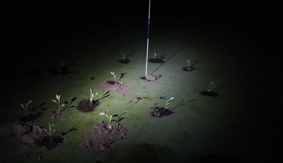 Vökvun golfvalla sóun á vatni