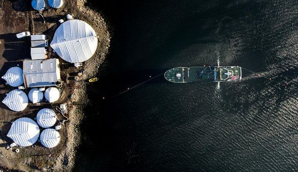 Gat kom á kví með 179 þúsund löxum