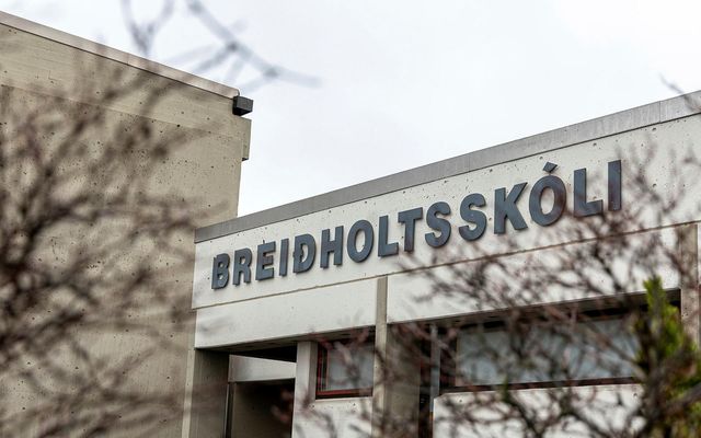 „Hann blómstarar á öllum öðrum sviðum lífsins nema þarna í skólanum,“ segir Esther.