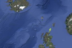 Ein gæs með sendi mætt. Einn pinni á Íslandi. Hinir eru enn nyrst á Bretlandseyjum …